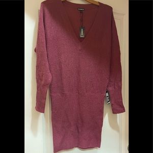 Express Sweater Dress